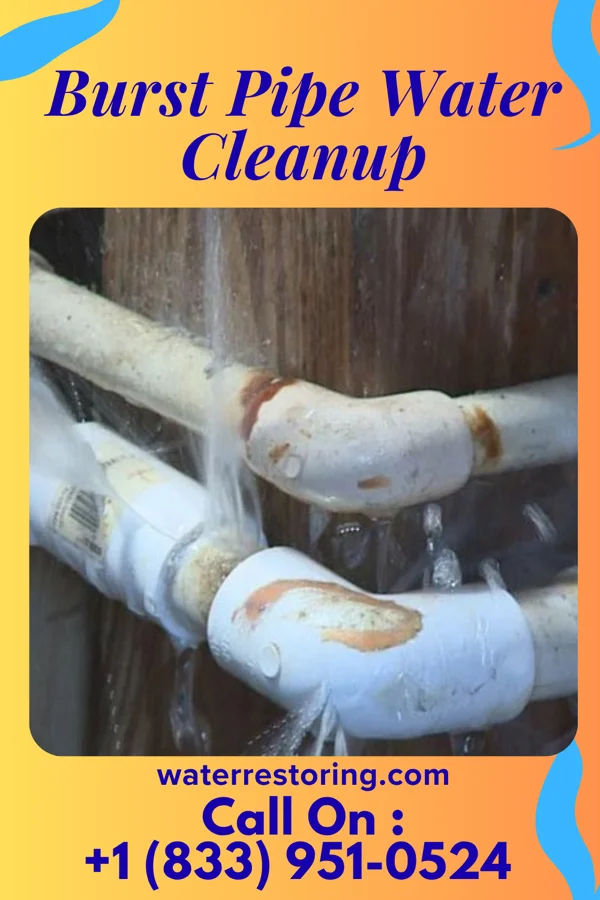 Burst Pipe Water Cleanup in Prior Lake, MN