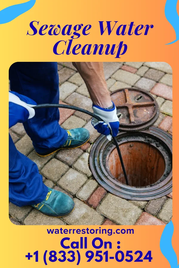Sewage Water Cleanup in Prior Lake, MN
